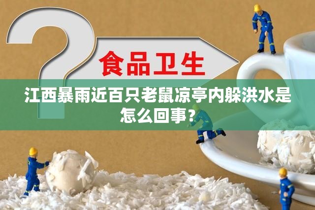 经典福克斯油耗多少一公里