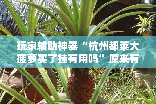 安装程序教程“红包埋雷控制尾数挂”开挂(透视)辅助教程
