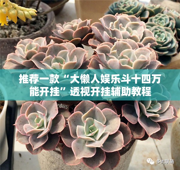 宝马3系十大忠告_1