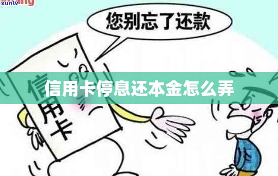 信用卡停息还本金怎么弄