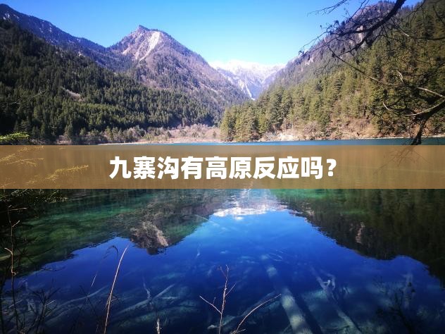 玩家辅助神器:嘻游联盟辅助器”详细分享装挂步骤