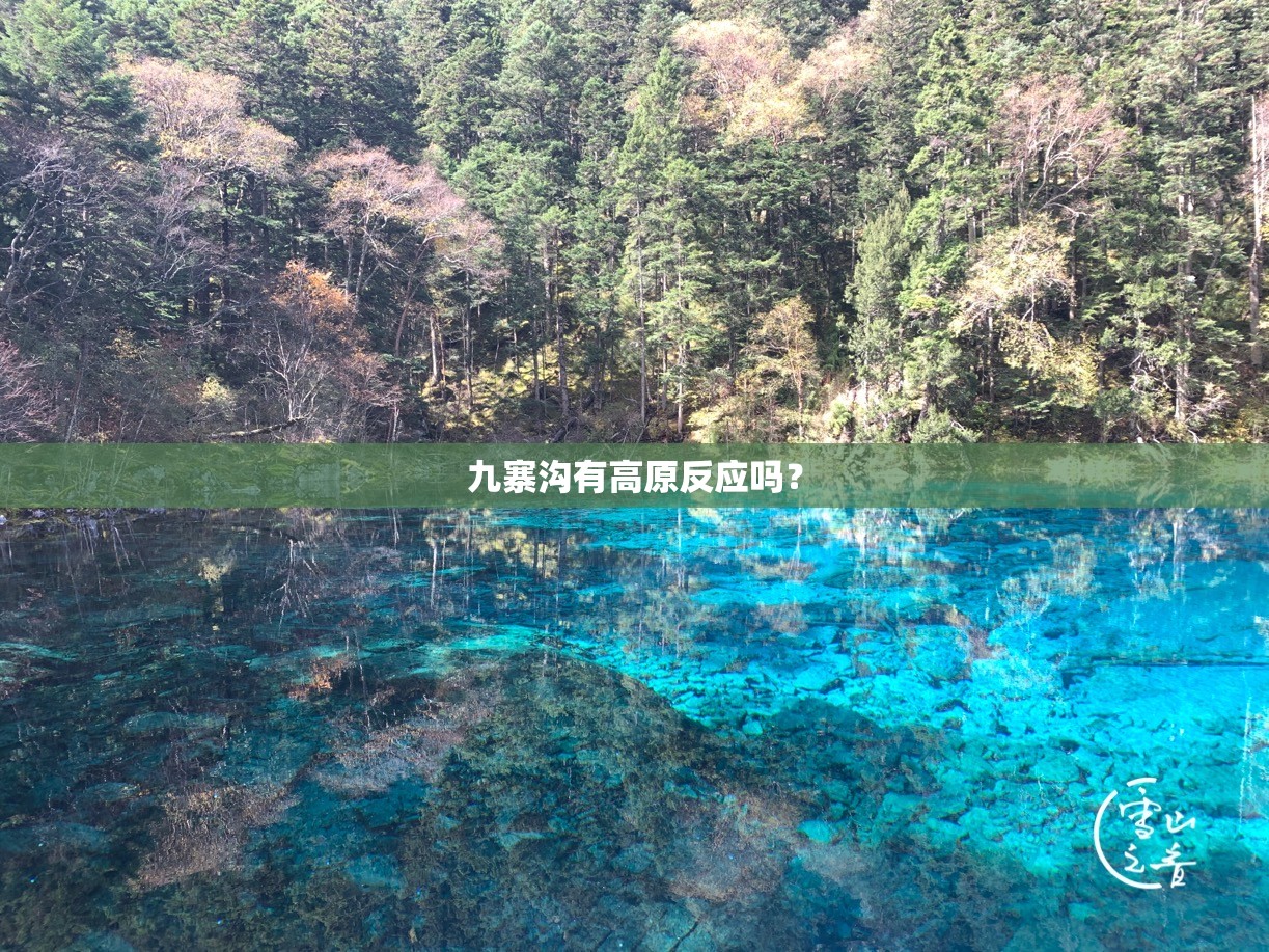 九寨沟有高原反应吗？