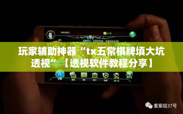 玩家辅助神器“tx五常棋牌填大坑透视”【透视软件教程分享】