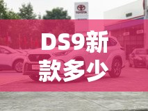 DS9新款多少钱能落地？