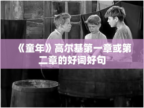《童年》高尔基第一章或第二章的好词好句
