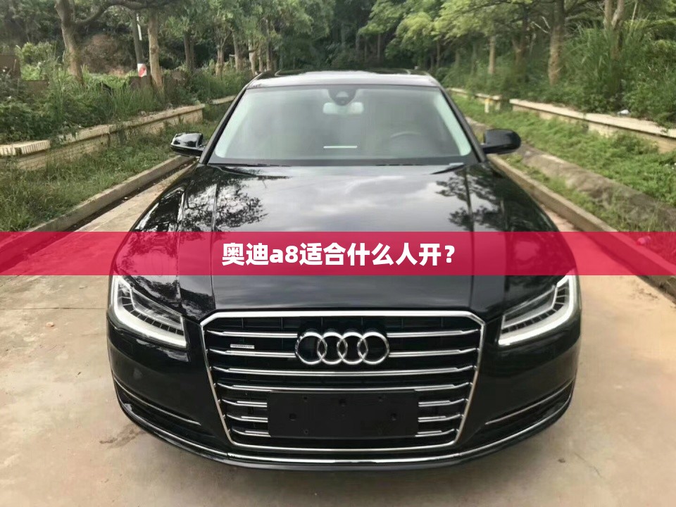 奥迪a8适合什么人开？