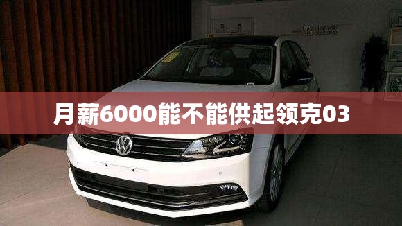 月薪6000能不能供起领克03 月薪6000能不能供起领克03