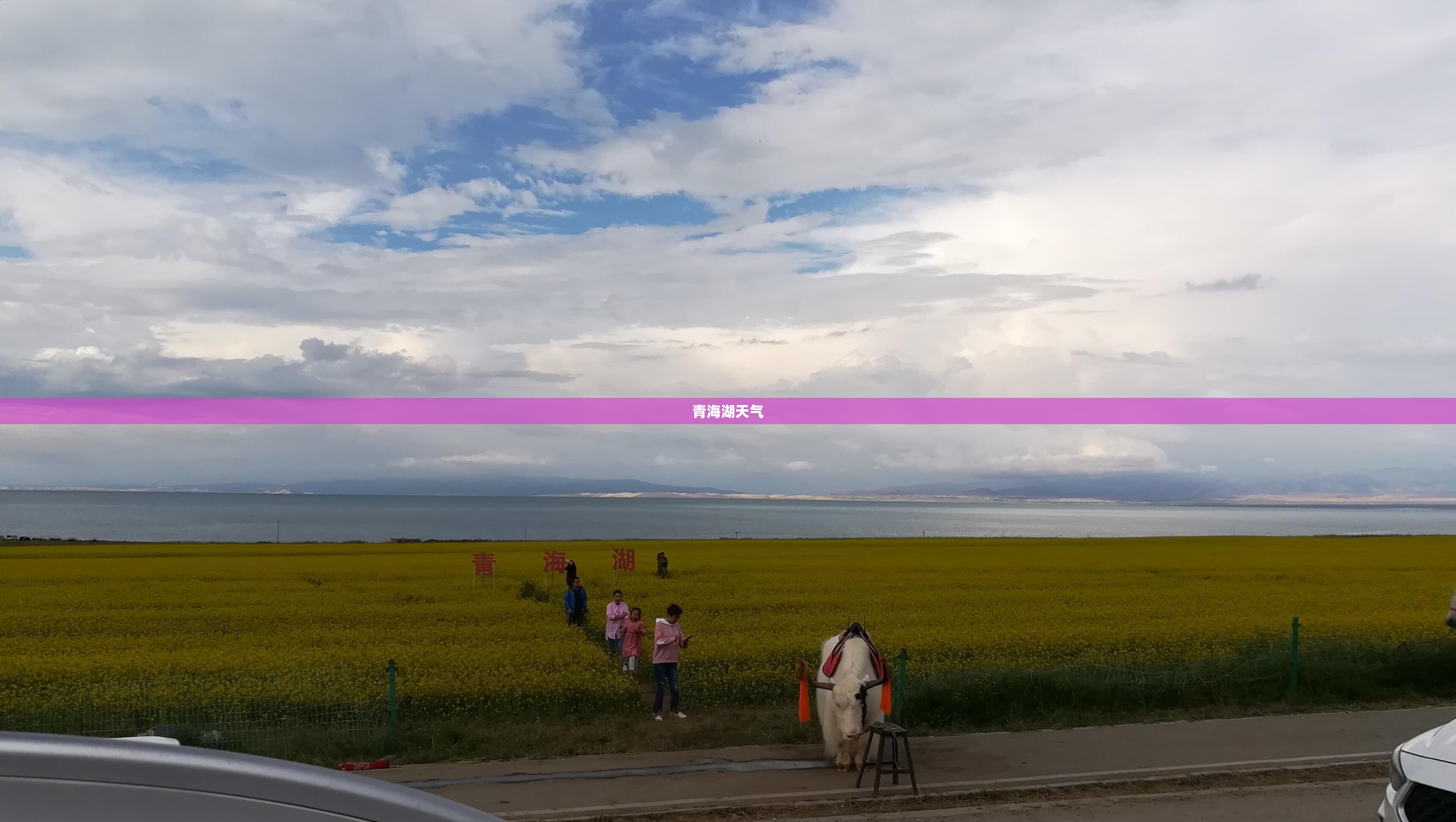 吉利英伦口碑怎么样
