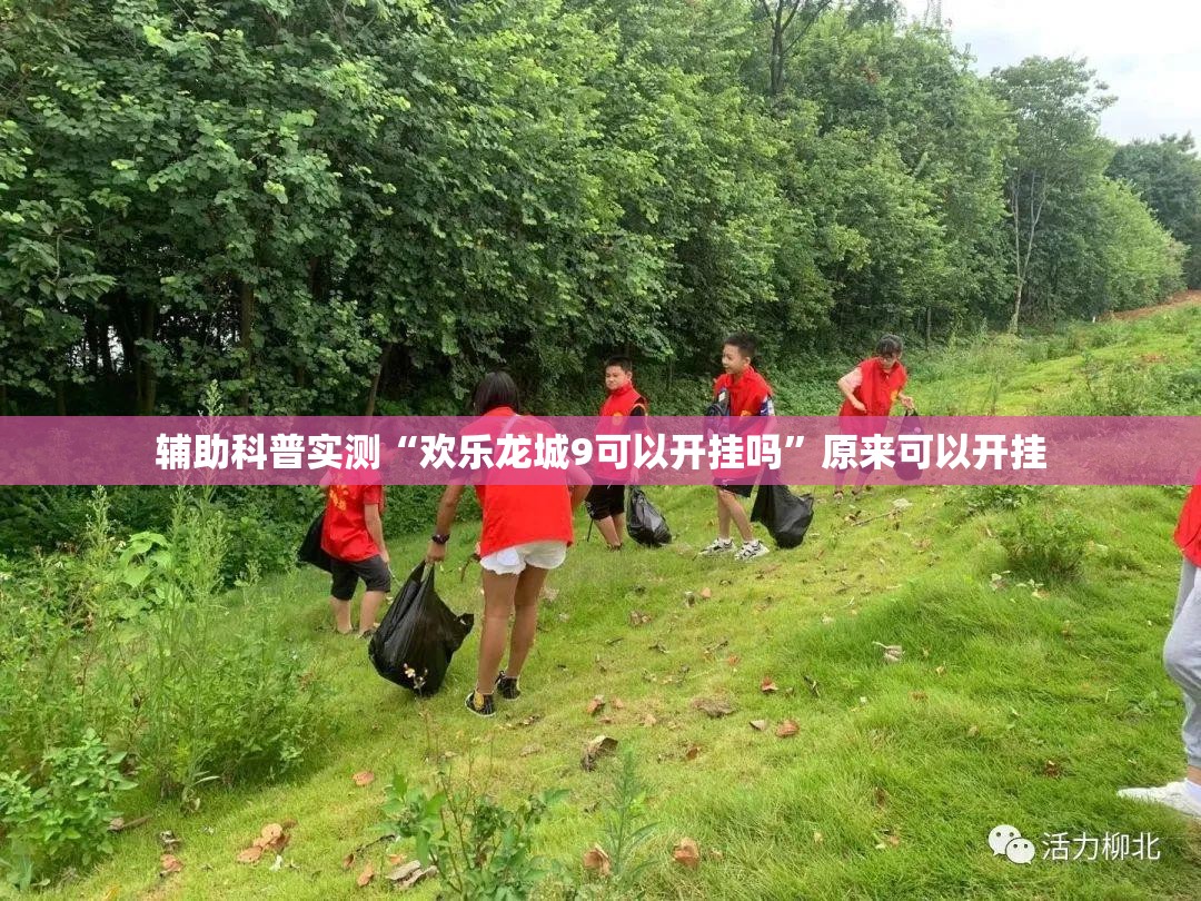 辅助科普实测“欢乐龙城9可以开挂吗	”原来可以开挂