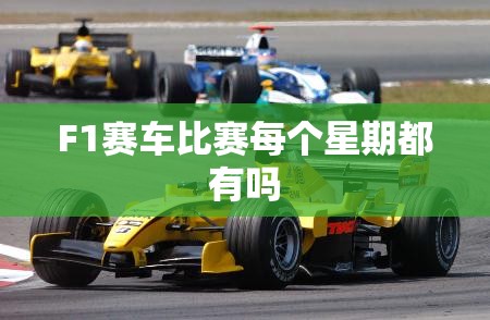 【c43amg旅行版,c43旅行版限量几台】