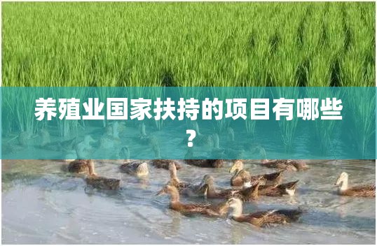 养殖业国家扶持的项目有哪些? 养殖业国家扶持的项目有哪些?