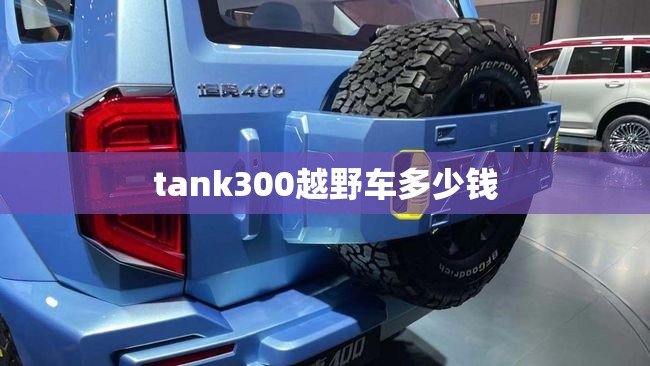 tank300越野车多少钱 tank300越野车多少钱