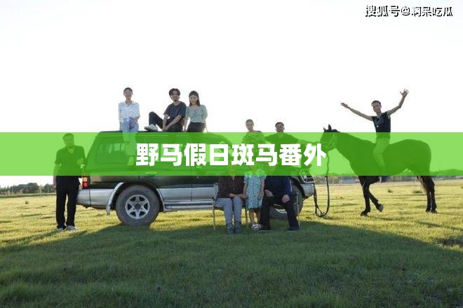 玩家辅助神器:“喜扣打筒子有挂吗”详细辅助教程分享
