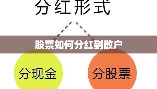 【603915国茂股份股吧/国茂股价多少】