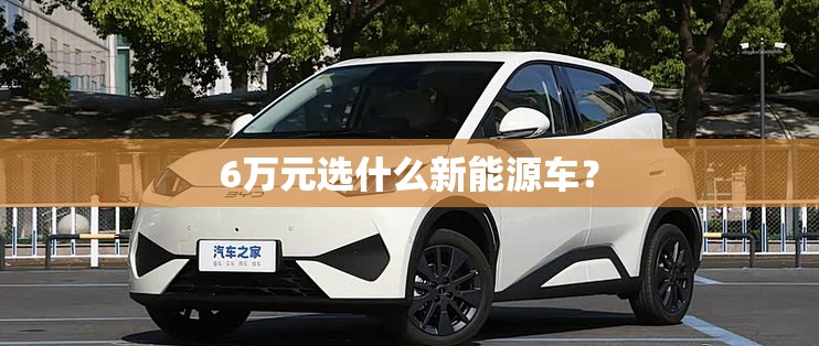 6万元选什么新能源车？