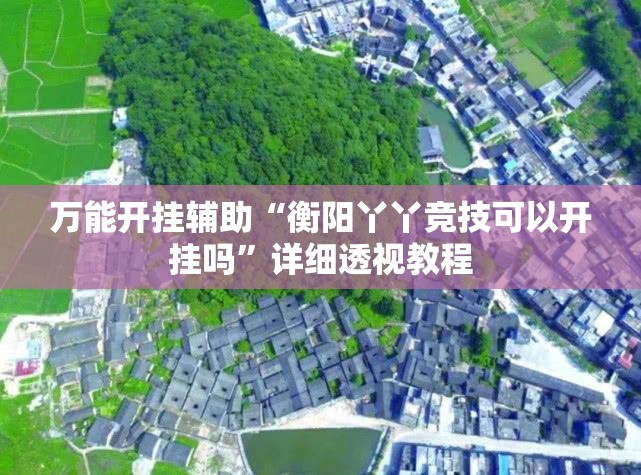 万能开挂辅助“衡阳丫丫竞技可以开挂吗”详细透视教程