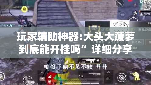 玩家辅助神器:大头大菠萝到底能开挂吗	”详细分享装挂步骤
