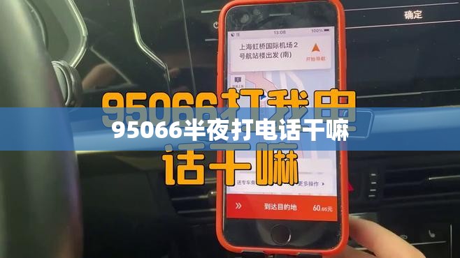 95066半夜打电话干嘛