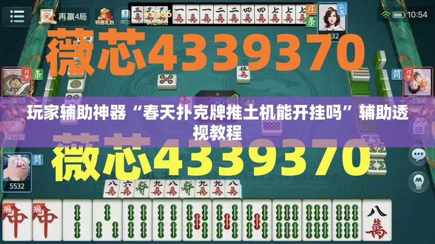 玩家辅助神器“春天扑克牌推土机能开挂吗”辅助透视教程