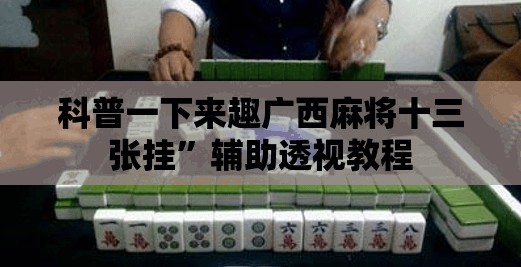 变形金刚玩具视频大全/变形金刚玩具视频大全高清
