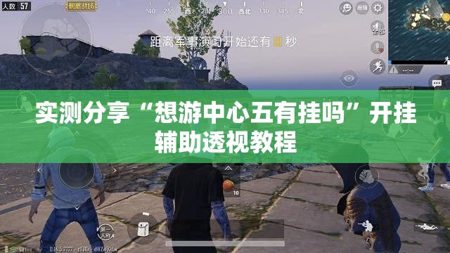实测分享“想游中心五有挂吗”开挂辅助透视教程