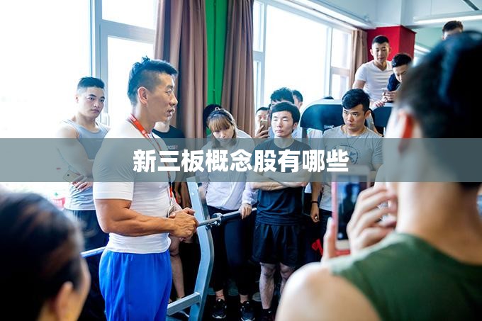 新三板概念股有哪些