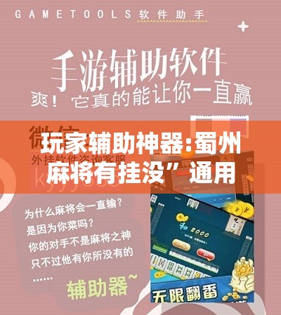 玩家辅助神器:蜀州麻将有挂没”通用版下载教程