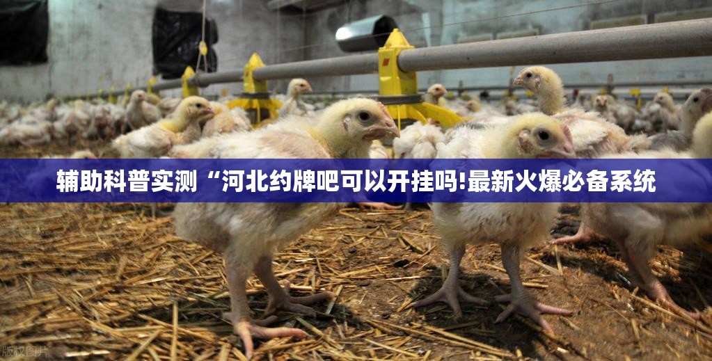 辅助教程分享“乐总统可以开挂吗”开挂(透视)辅助教程