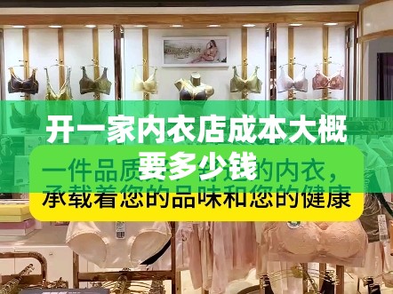 开一家内衣店成本大概要多少钱