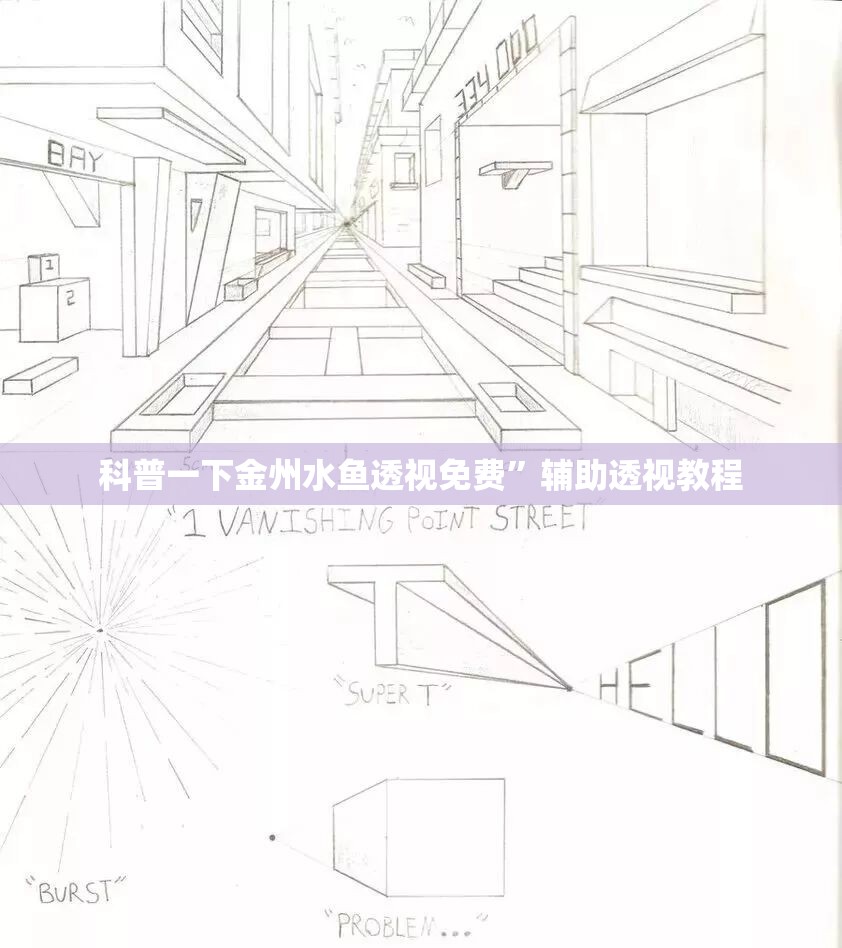 科普一下金州水鱼透视免费”辅助透视教程