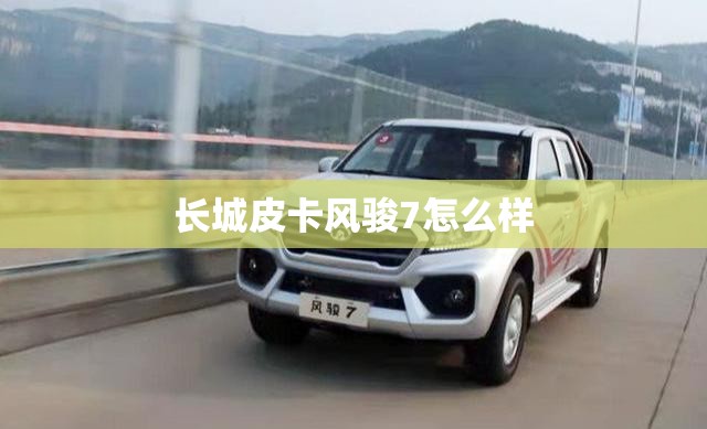 长城皮卡风骏7怎么样