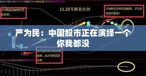 严为民:中国股市正在演绎一个你我都没 严为民:中国股市正在演绎一个你我都没