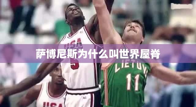 萨博尼斯为什么叫世界屋脊