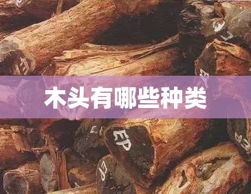 雷克萨斯混动suv车型有哪些_1