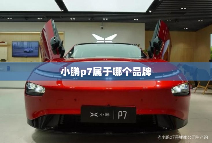 万能开挂辅助“老友十三水怎么才能赢”开挂辅助透视教程
