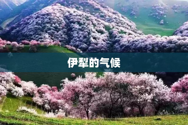 伊犁的气候 伊犁的气候