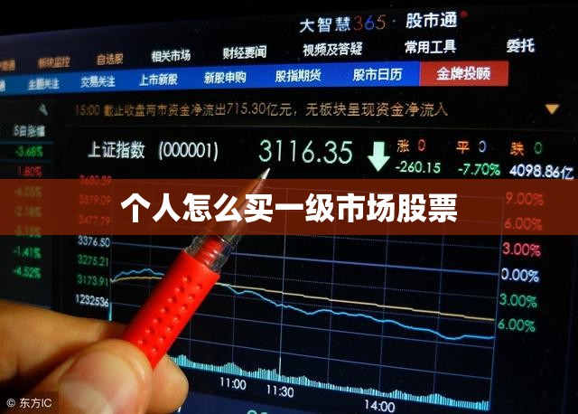 个人怎么买一级市场股票 个人怎么买一级市场股票