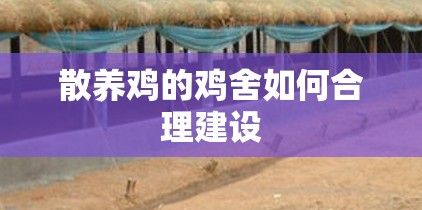 海马属于国产还是日系