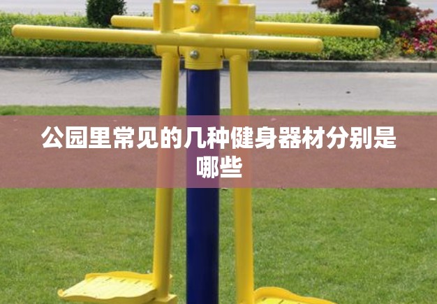 公园里常见的几种健身器材分别是哪些 公园里常见的几种健身器材分别是哪些