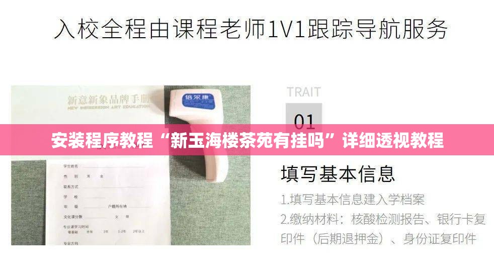 安装程序教程“新玉海楼茶苑有挂吗	”详细透视教程
