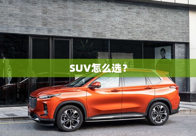 SUV怎么选? SUV怎么选?