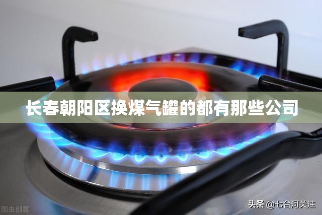 长春朝阳区换煤气罐的都有那些公司