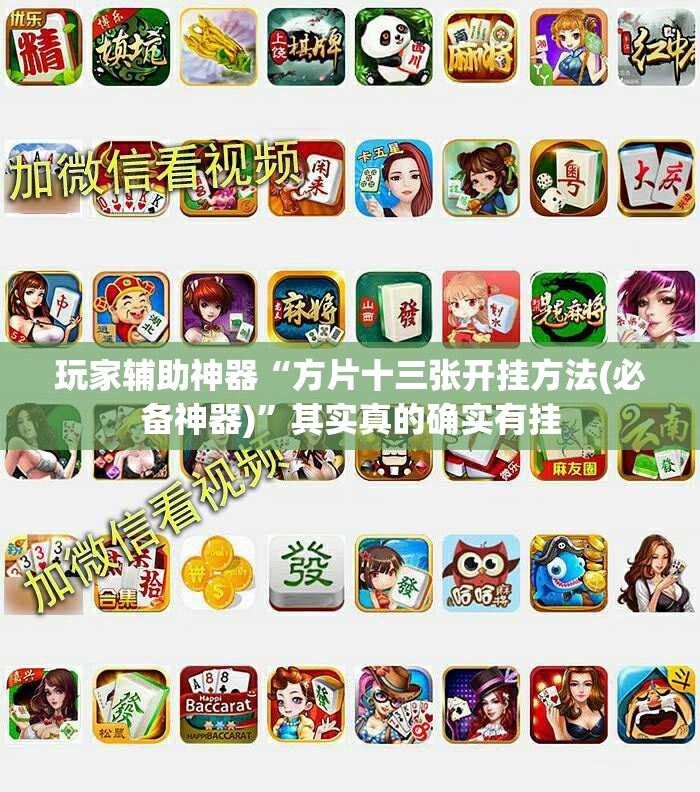 玩家辅助神器“方片十三张开挂方法(必备神器)	”其实真的确实有挂