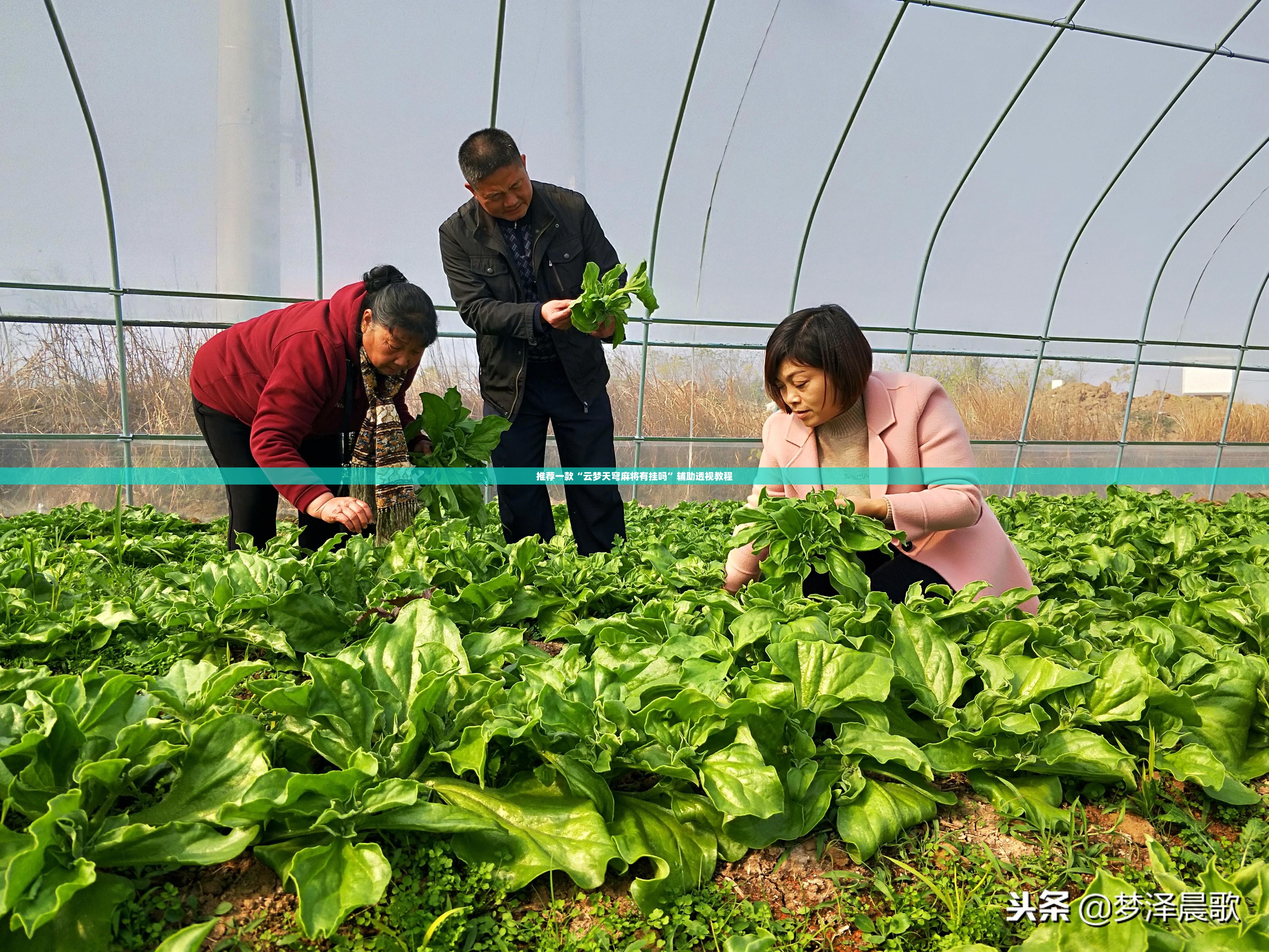 推荐一款“云梦天穹麻将有挂吗	”辅助透视教程