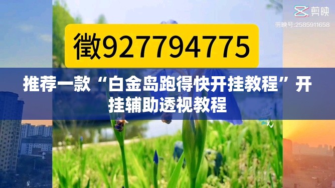 推荐一款“白金岛跑得快开挂教程”开挂辅助透视教程
