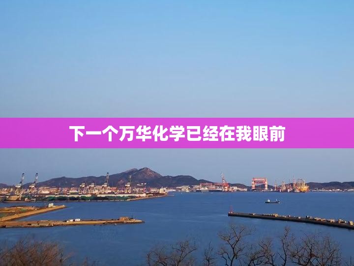 下一个万华化学已经在我眼前