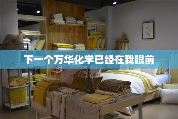 下一个万华化学已经在我眼前
